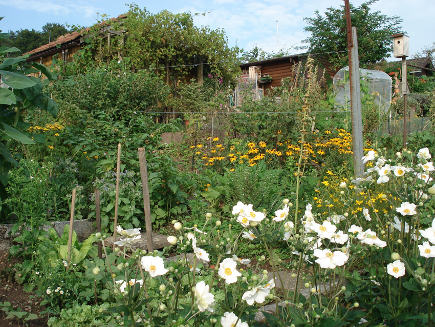 Stadtwanderung vorbei an Schrebergärten