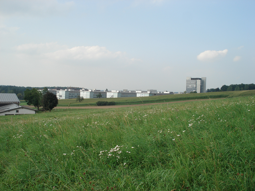 Sicht auf ETH Hönggerberg
