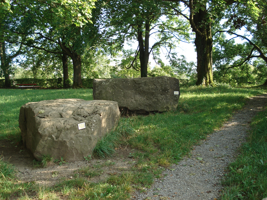 Findlinge im Findlingsgarten Kappenbühl