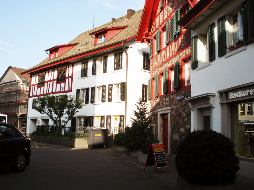 Rebstock und alte Metzg