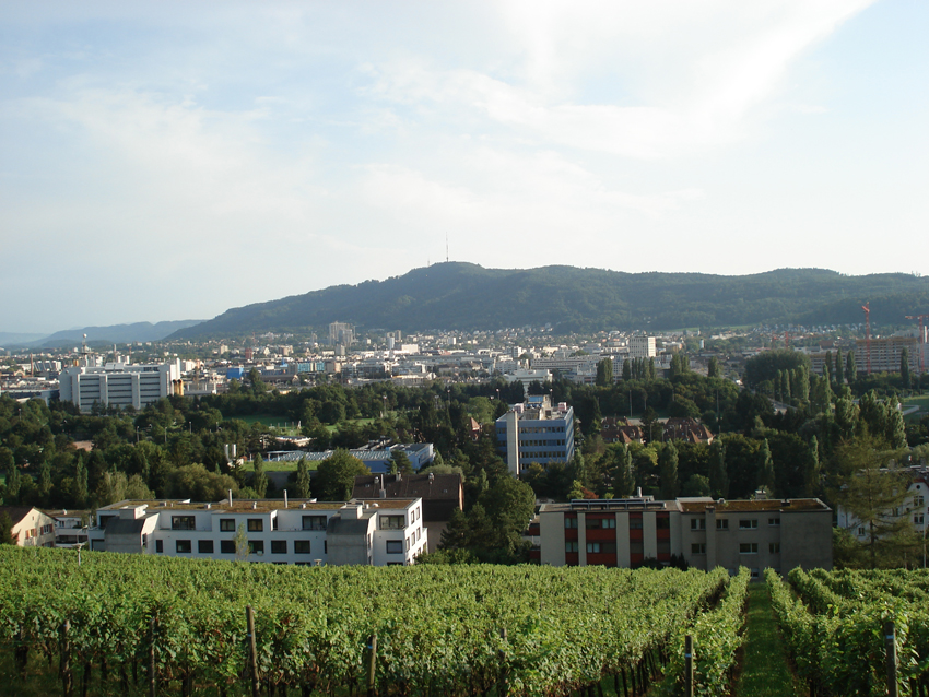 Und Sicht bis zum Uetliberg