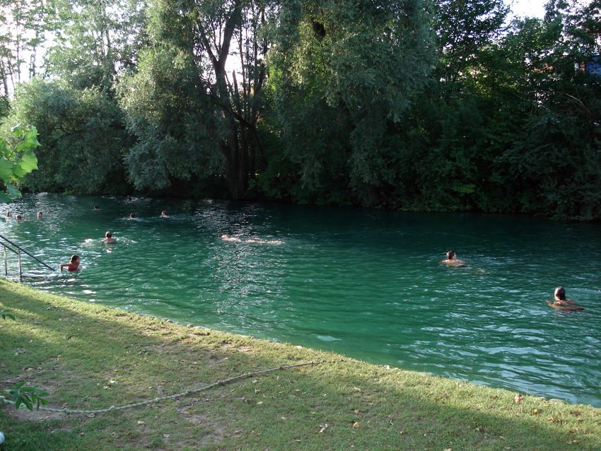 Werdinsel - Baden in der Limmat