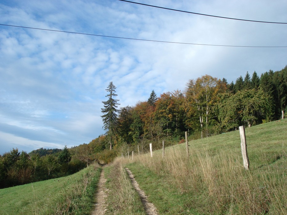 DSC05449