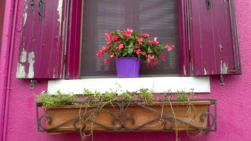 Farbiges Fenster mit Blume in Burano Farbiges Fenster mit Blume in Burano