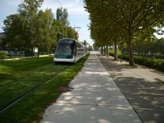 P1040097