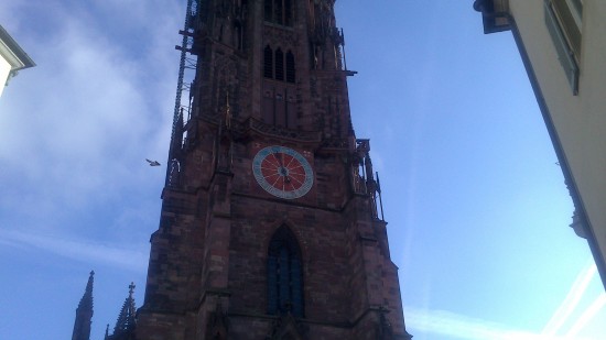 Freiburg_Münster