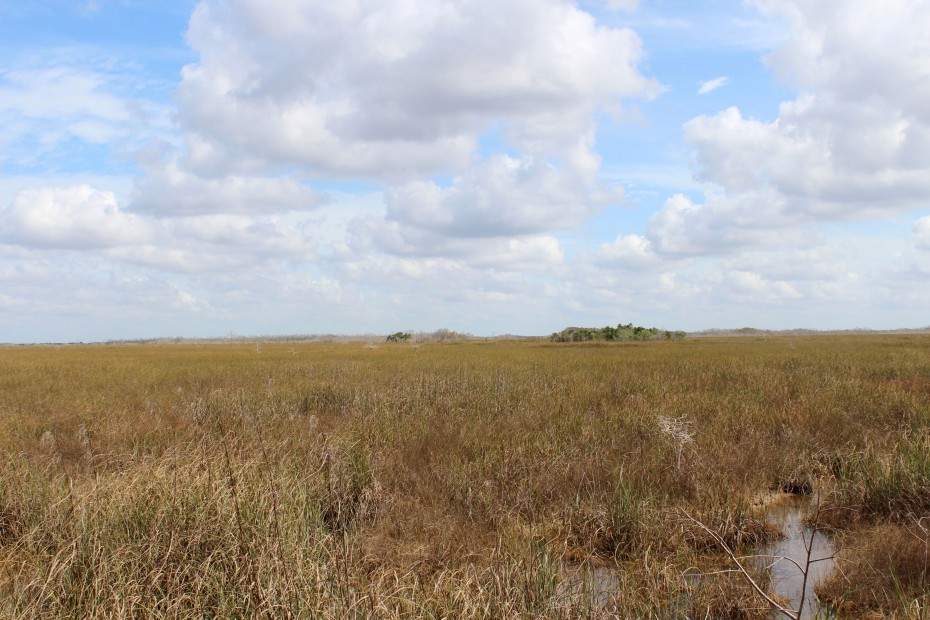 Horizont Everglades Horizont Everglades
