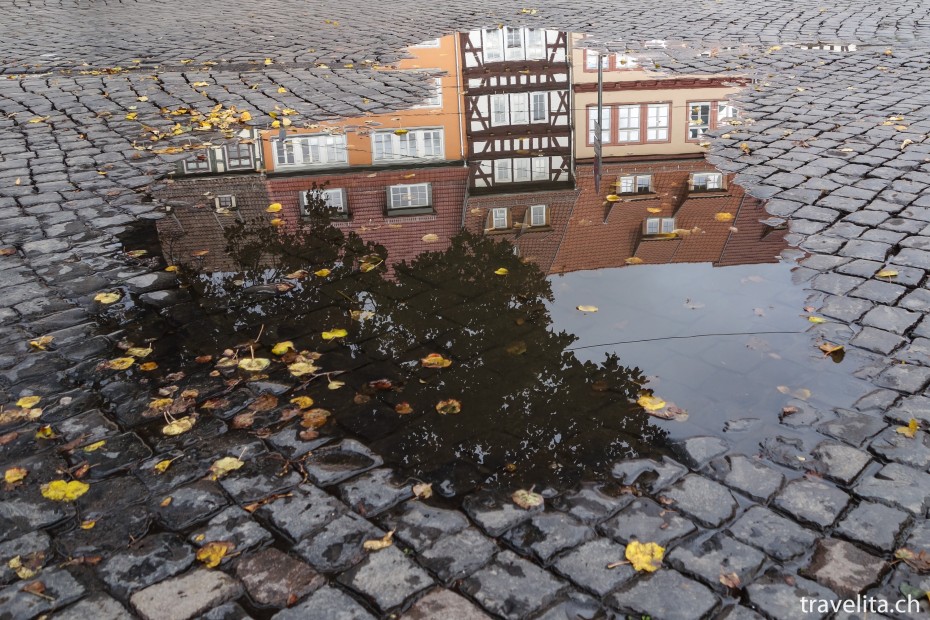 Erfurt_Pfütze