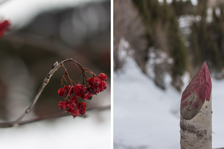 Villars-Schneeschutour-3