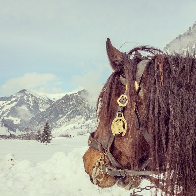 Instagram-Grossarltal-1