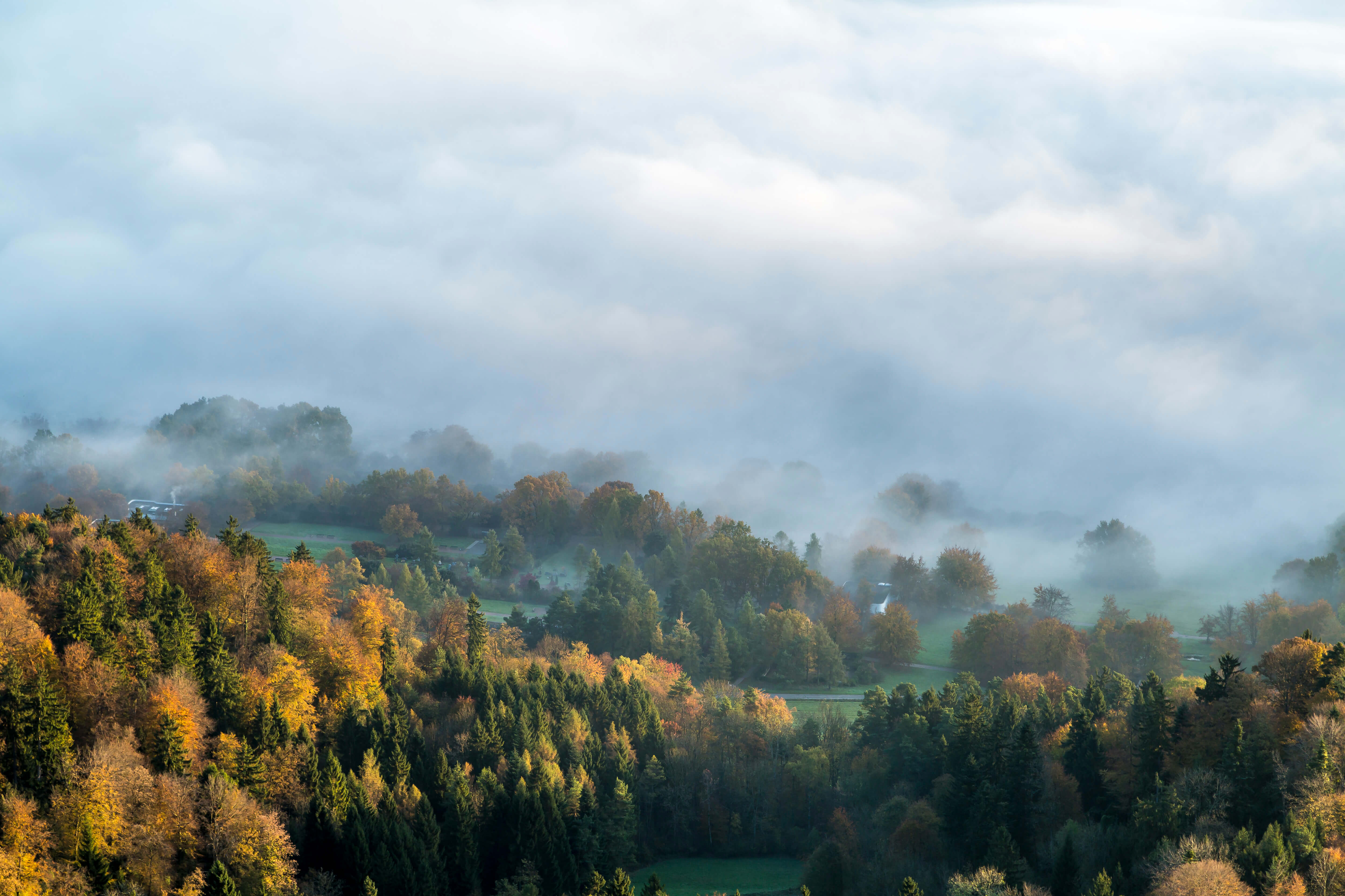Wandertipp Sihlwald