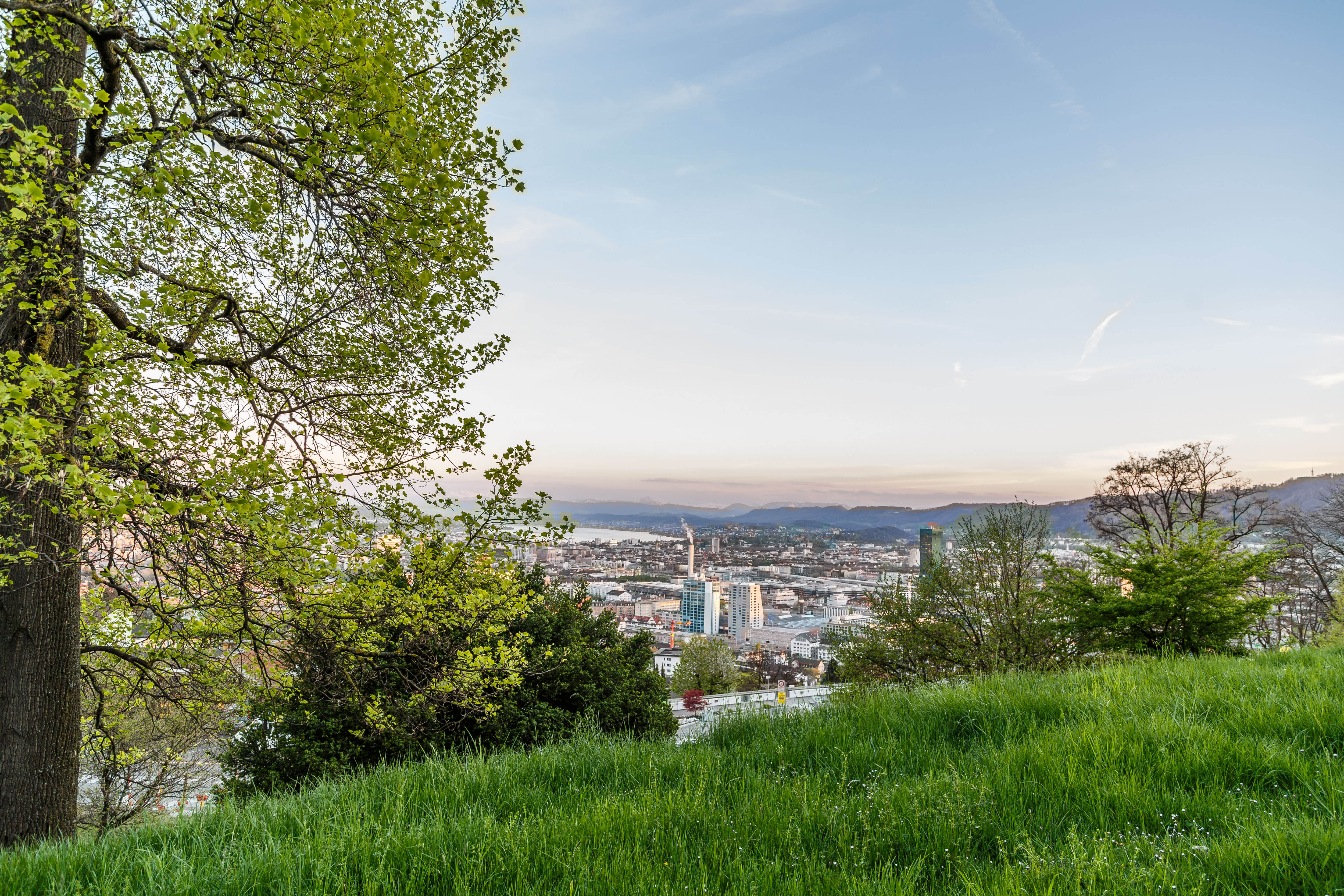 Wandertipp Waid Zürich