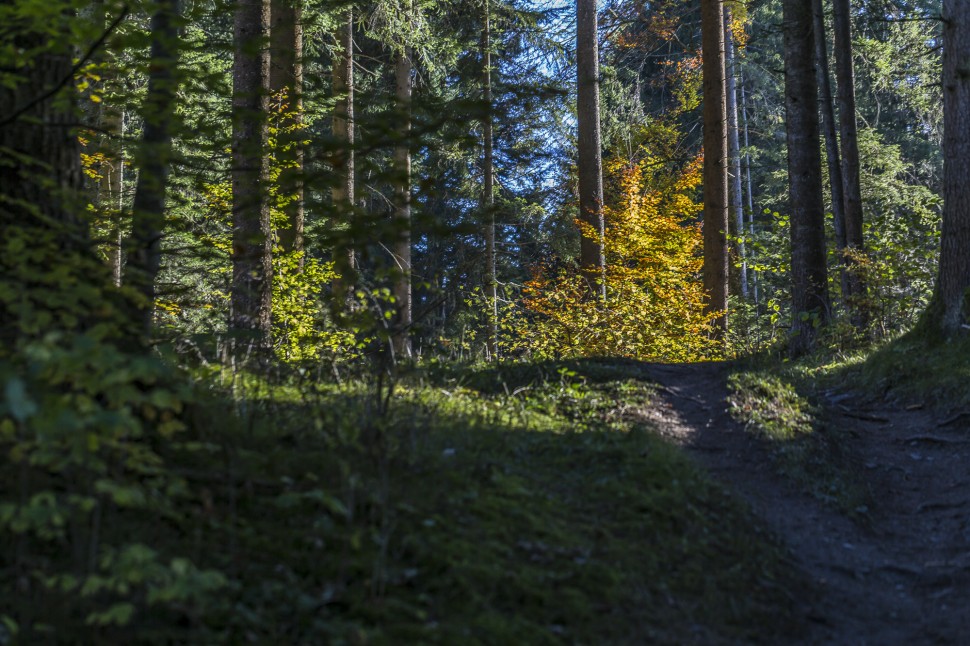 Flimserwald Wanderung Caumasee - Crestasee Flimserwald Wanderung Caumasee - Crestasee