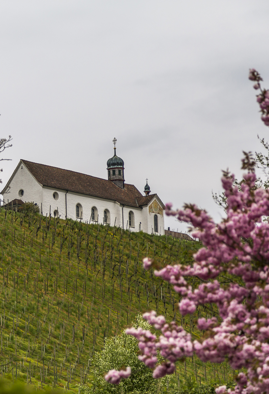 Kartause-Ittingen-Kirche