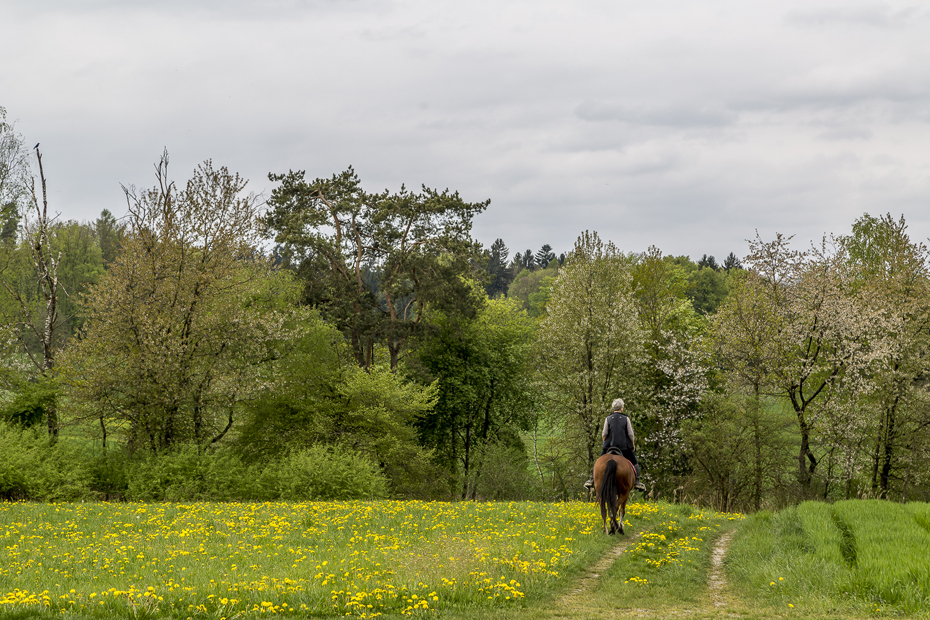 Thurgau-Landwirtschaft