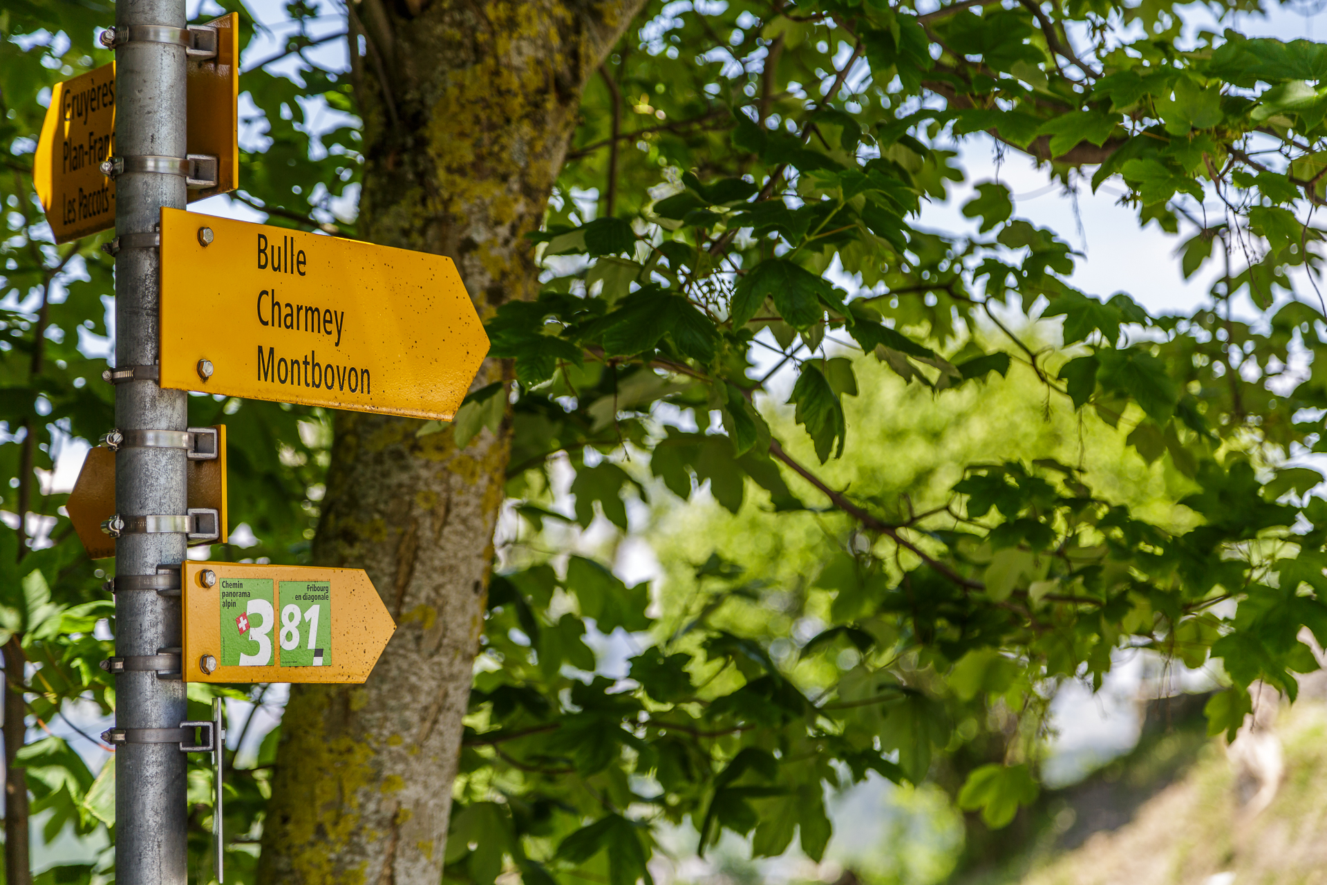 Chemin-de-Gruyeres