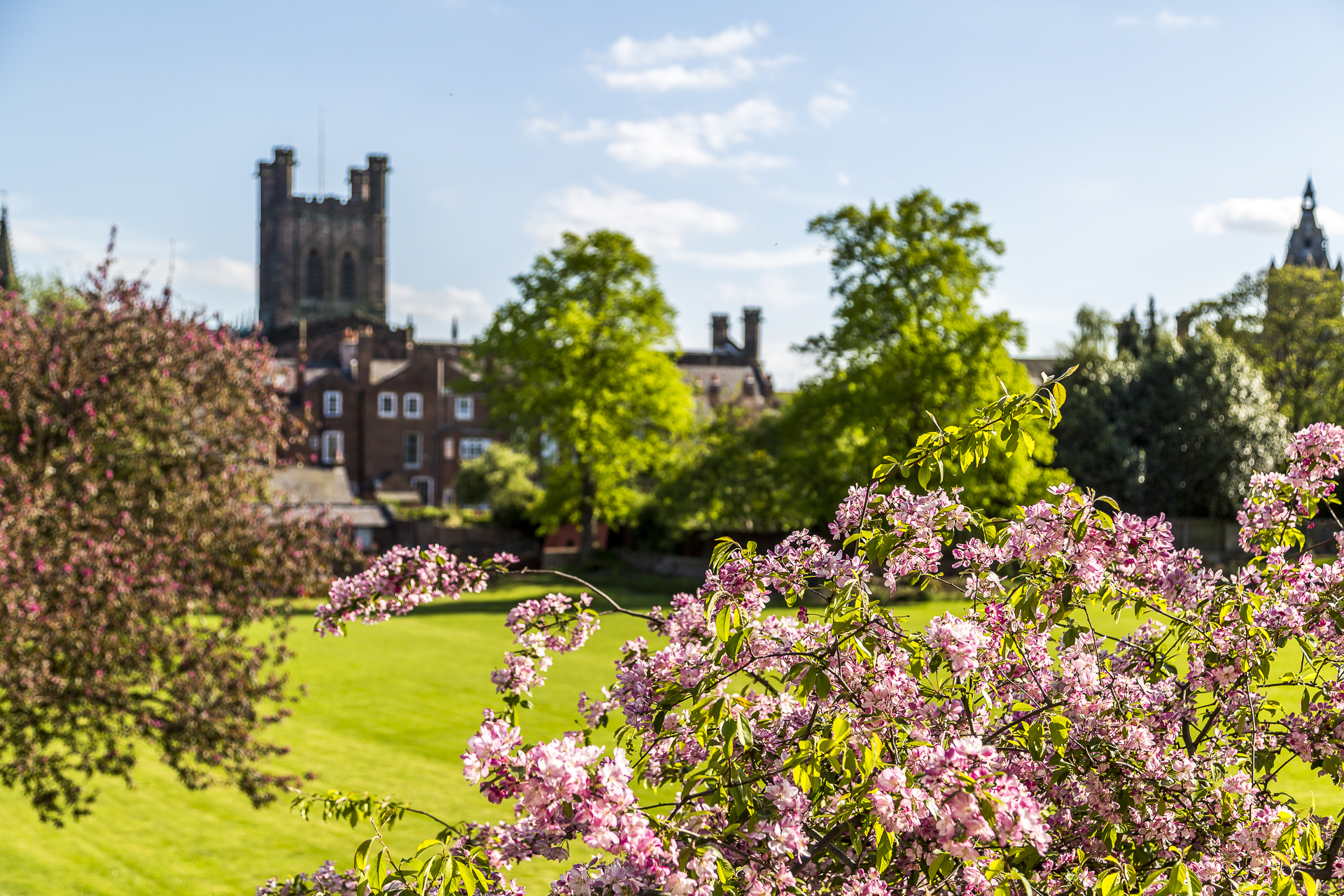 Chester-Kathedrale