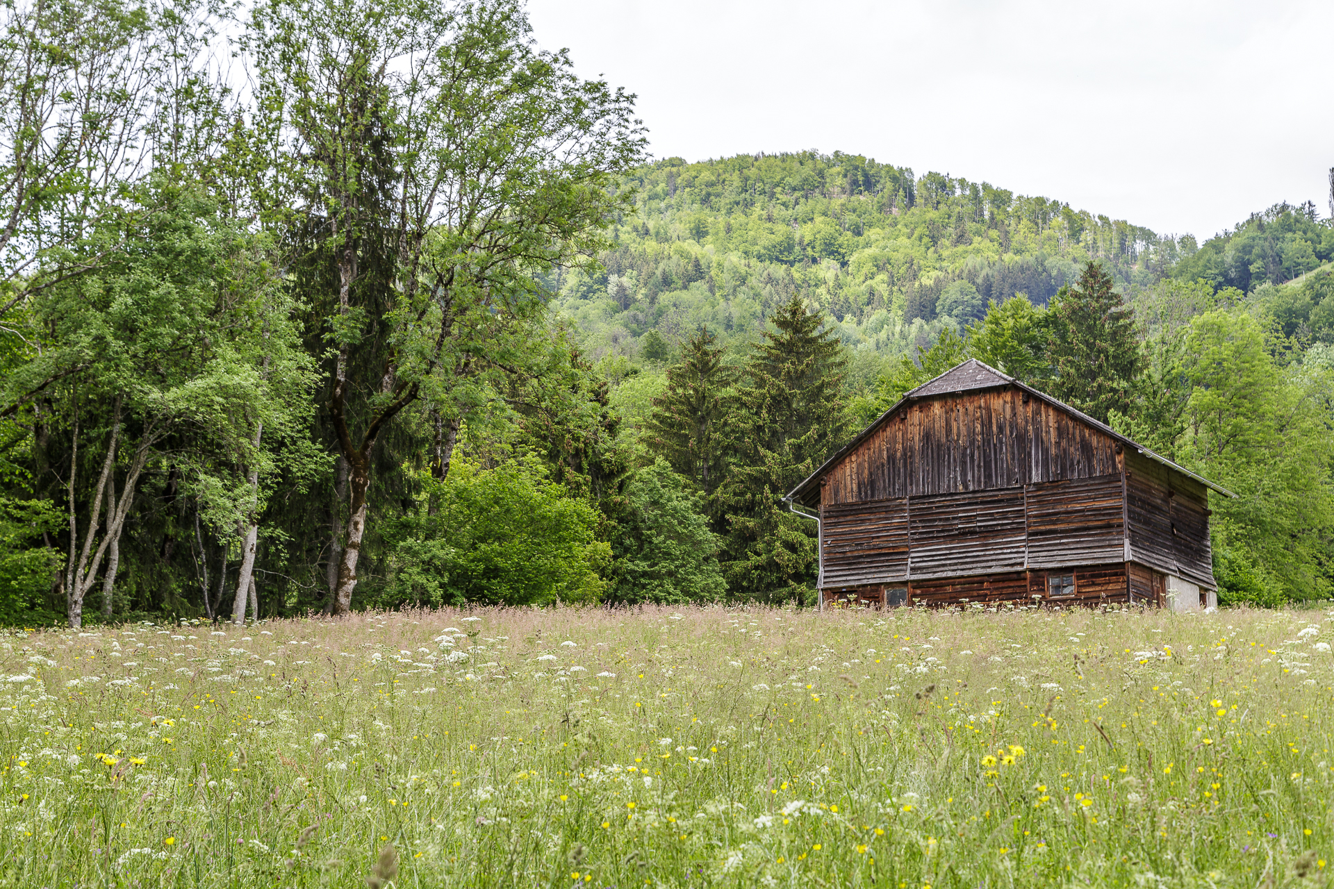 Fribourg-Region