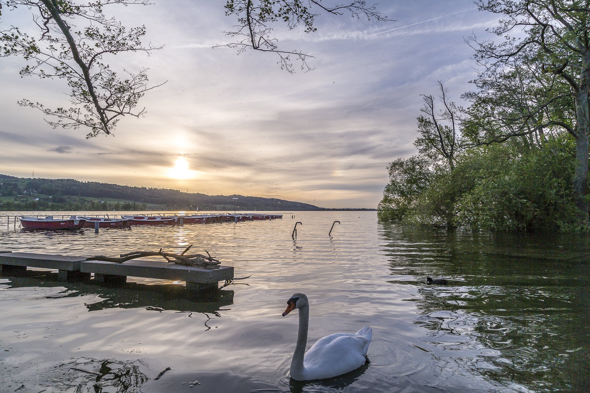 Greifensee.Abendstimmung
