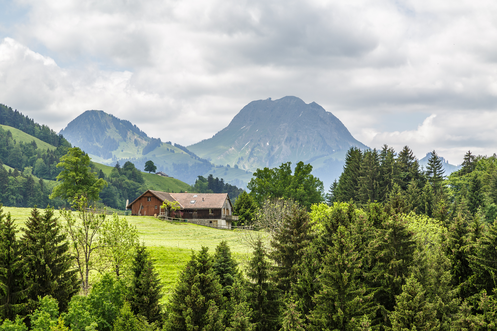Gruyeres-Alp