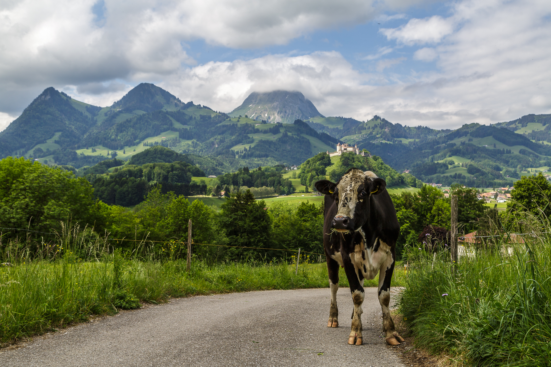 Gryueres-Region