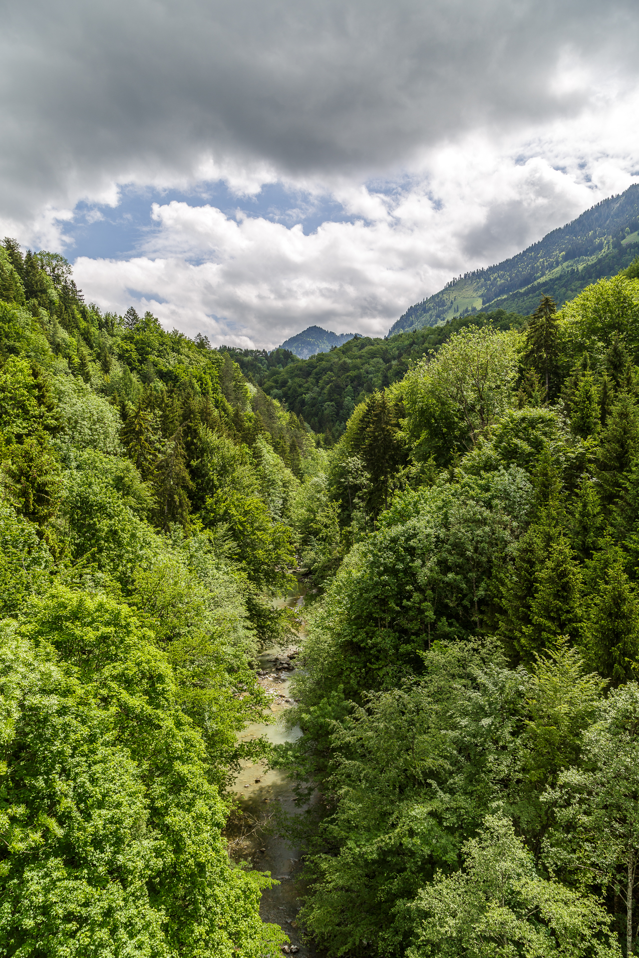 Jaunbauchschlucht
