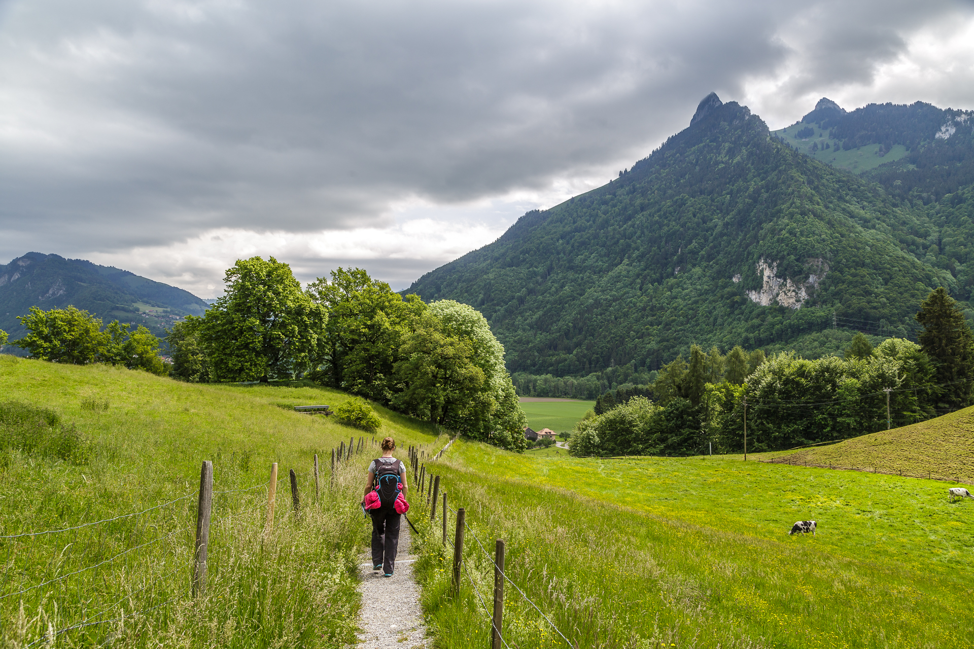 Wanderung-Greyerzerland