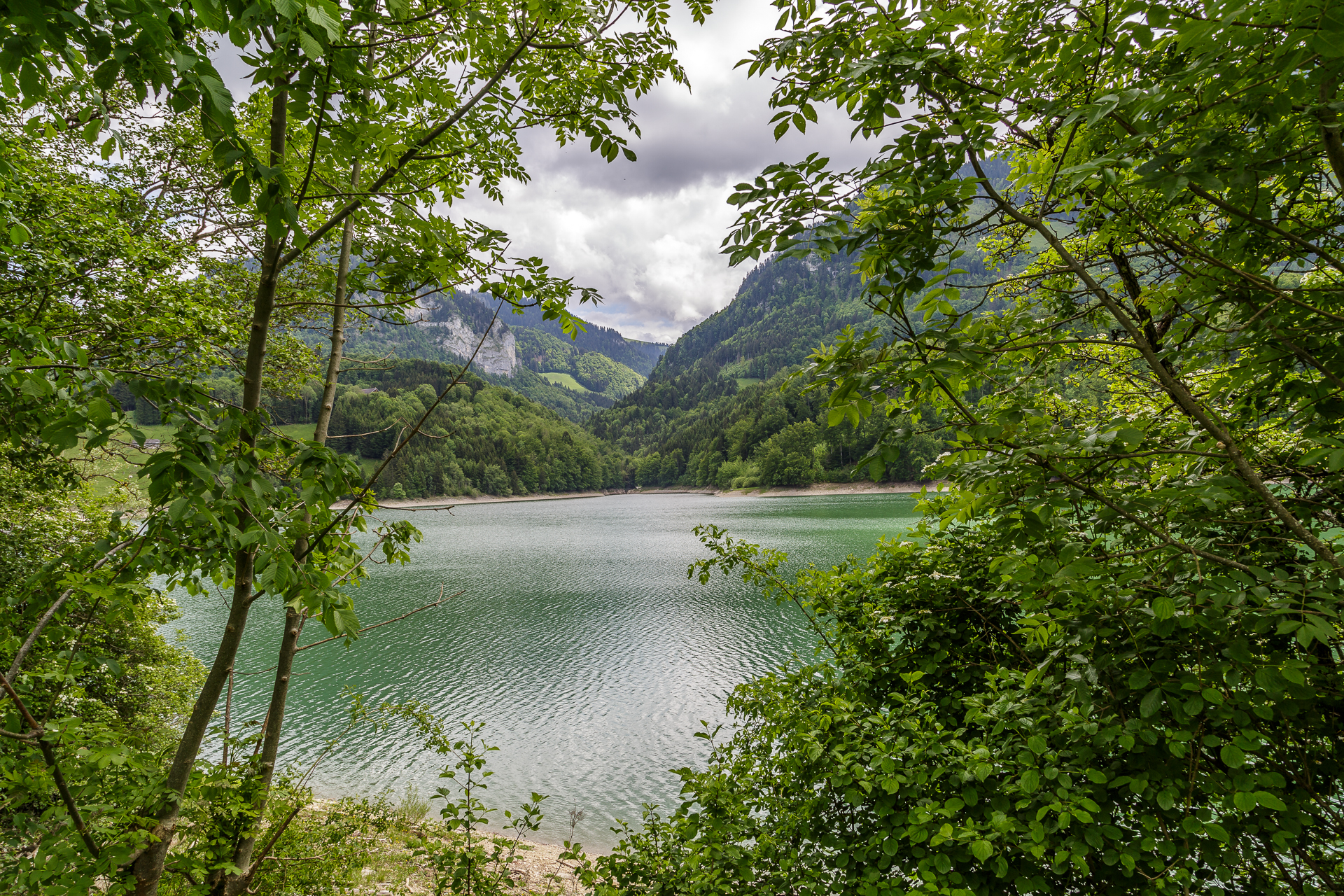 Wanderung-Lac-de-Montsalvens