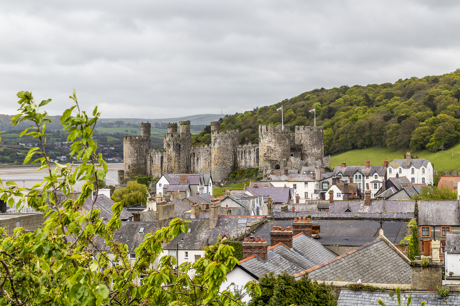 conwy-castle