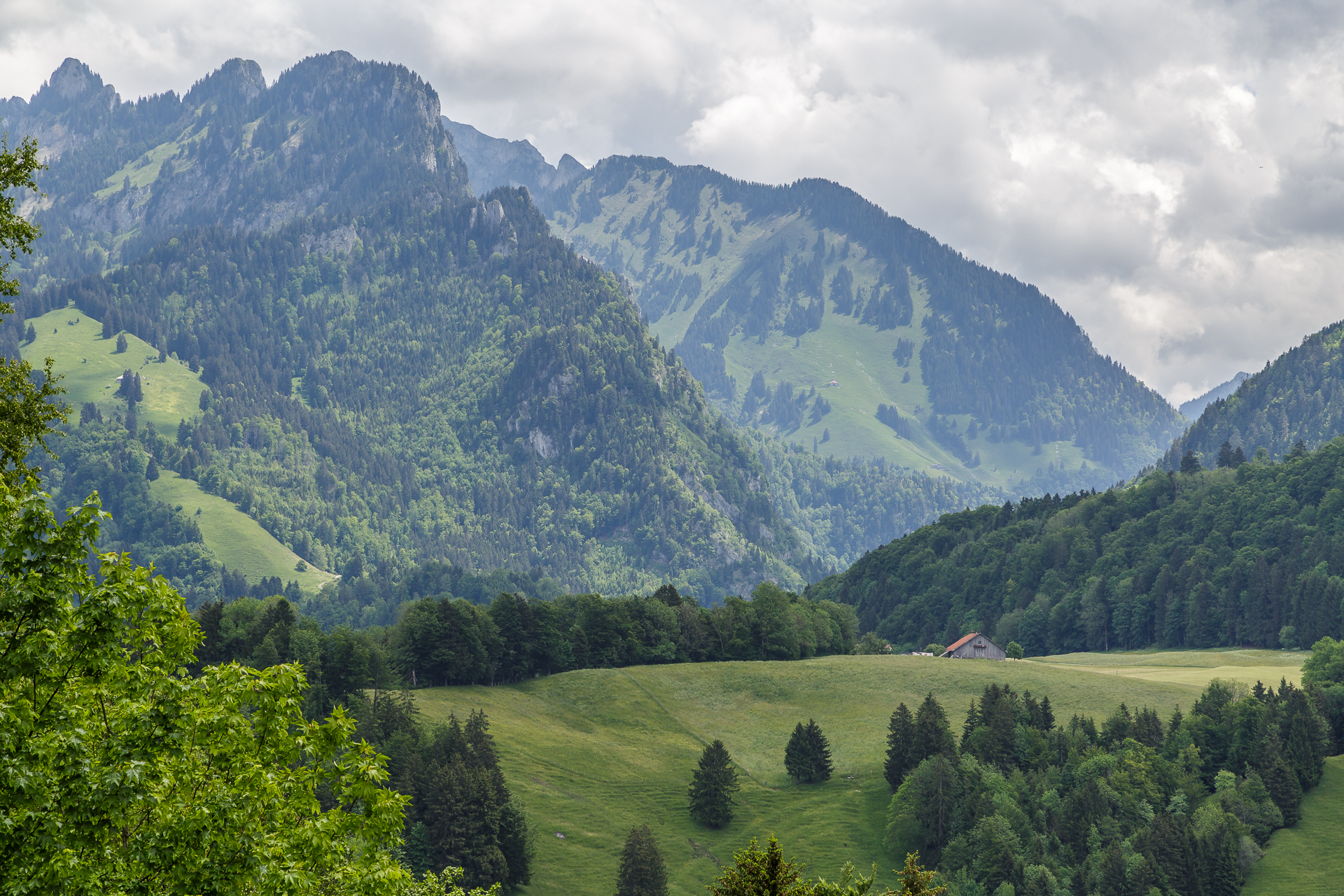 gruyere-121