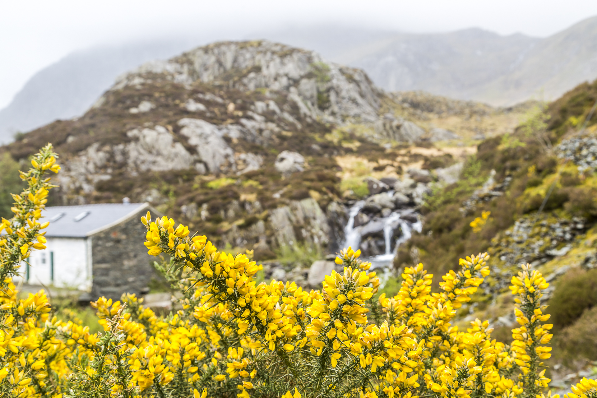 snowdonia