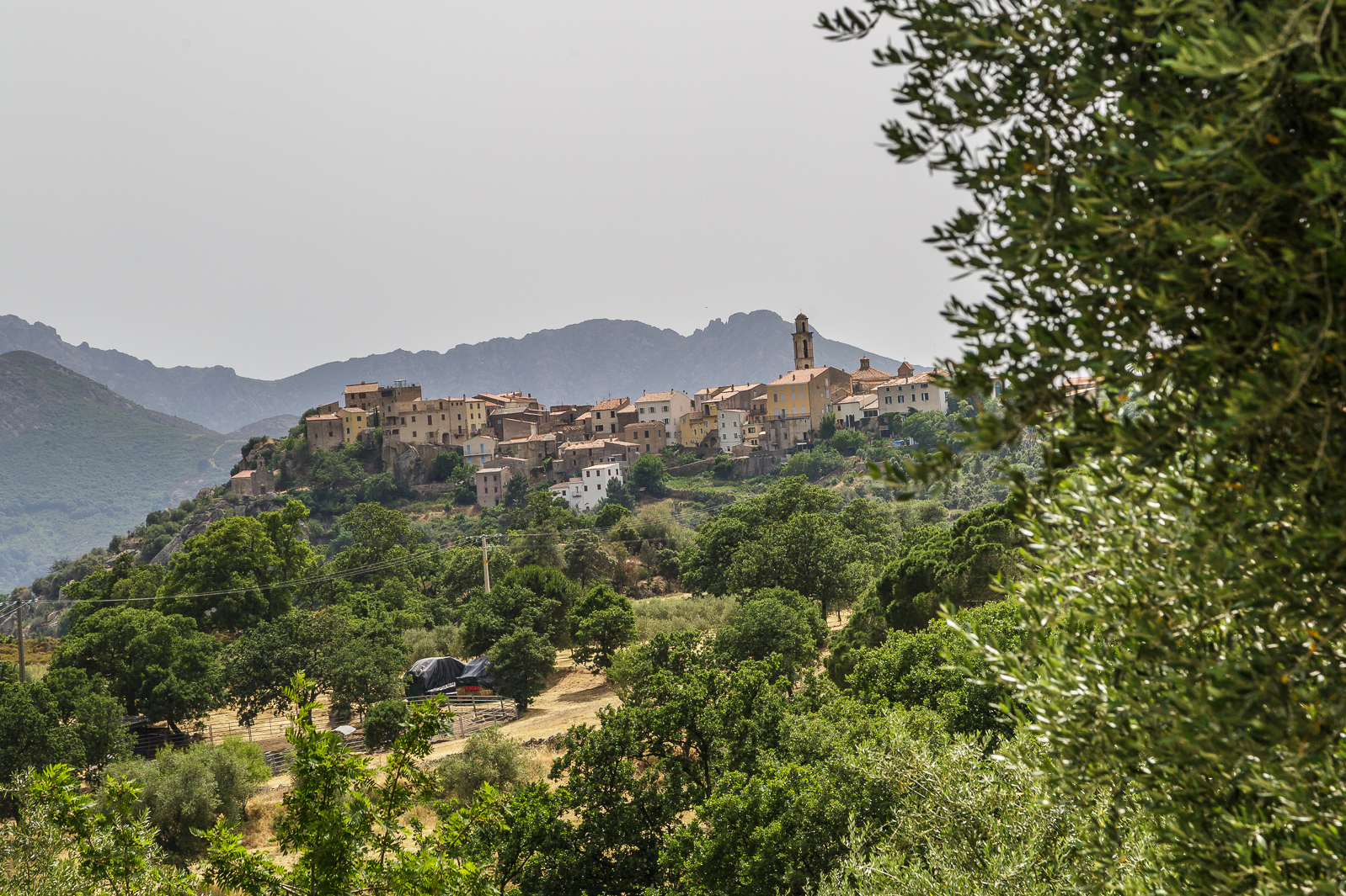 Balagne-Bergdorf