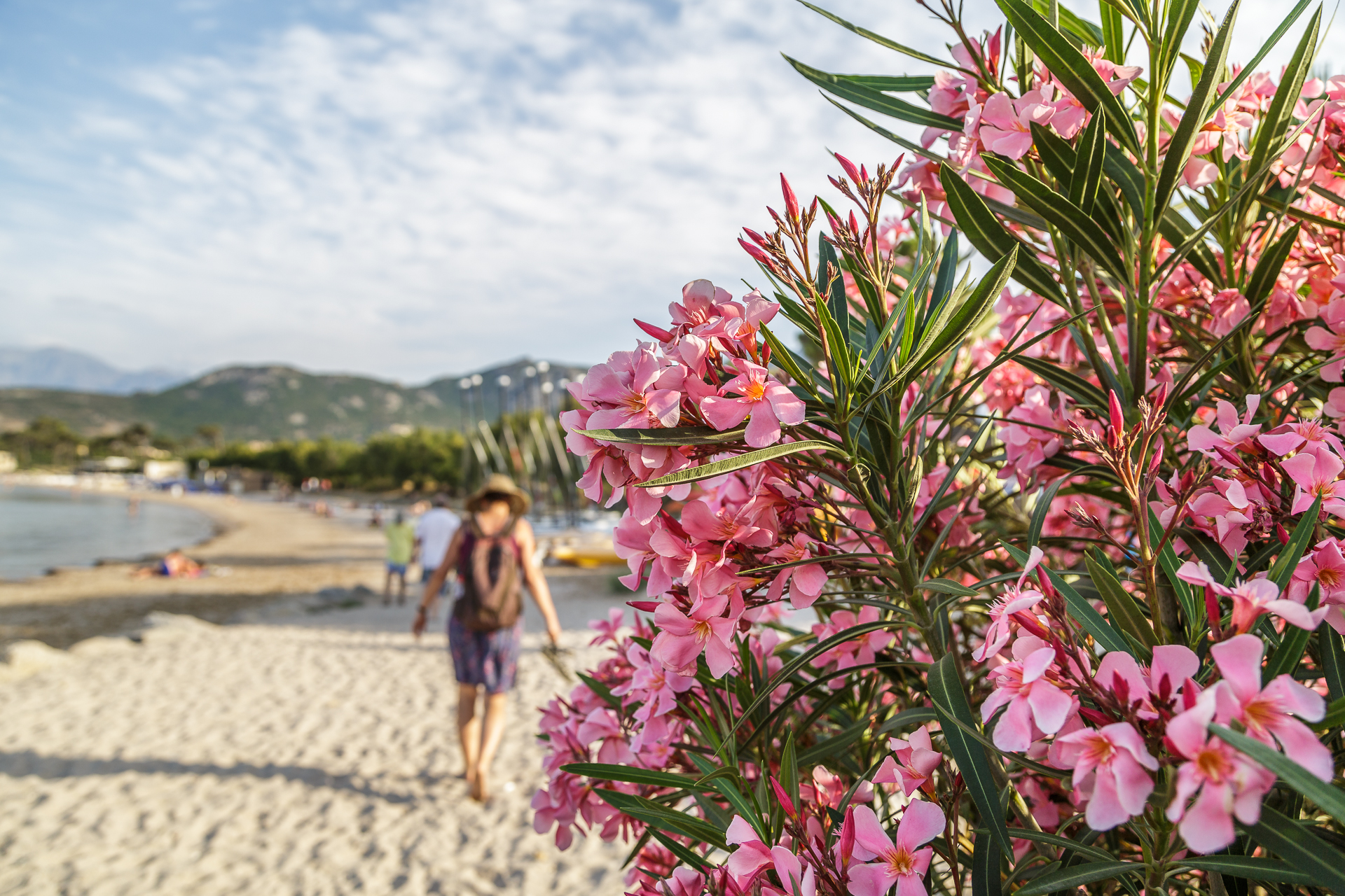 Calvi-Sandstrand