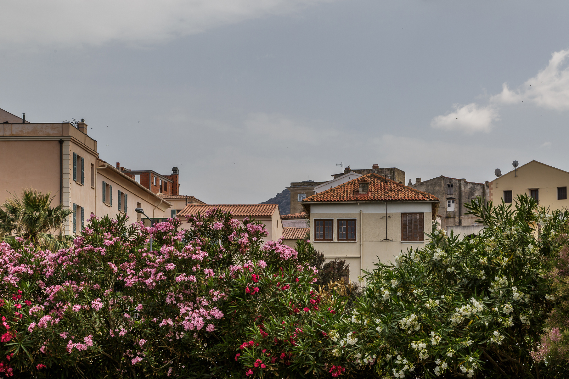 Ile-Rousse-2