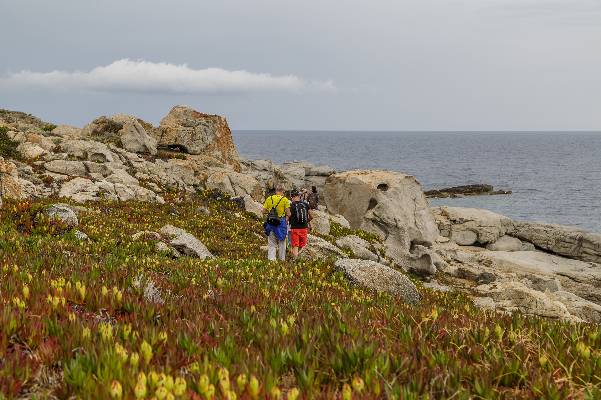 Kuestenwanderung-Korsika-calvi-1