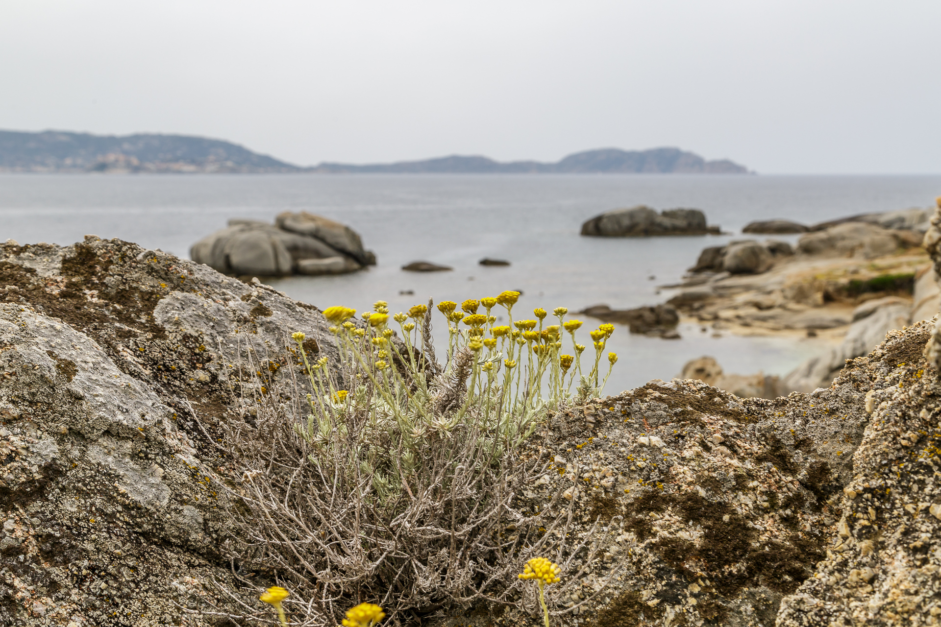 Natur-Korsika