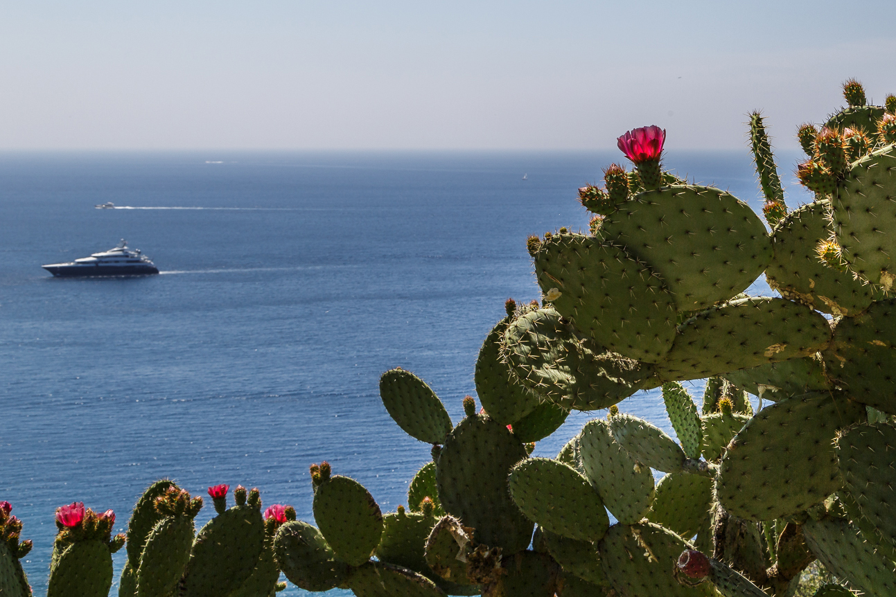 Nizza-Cotes-d-Azur