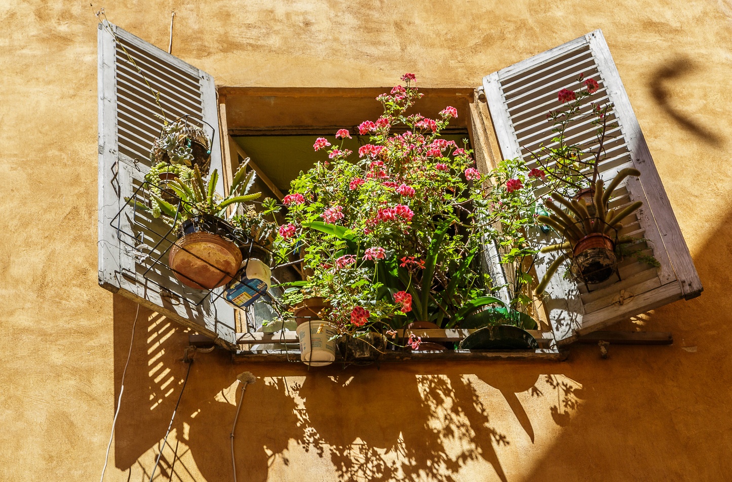 Vieux-Nice-6