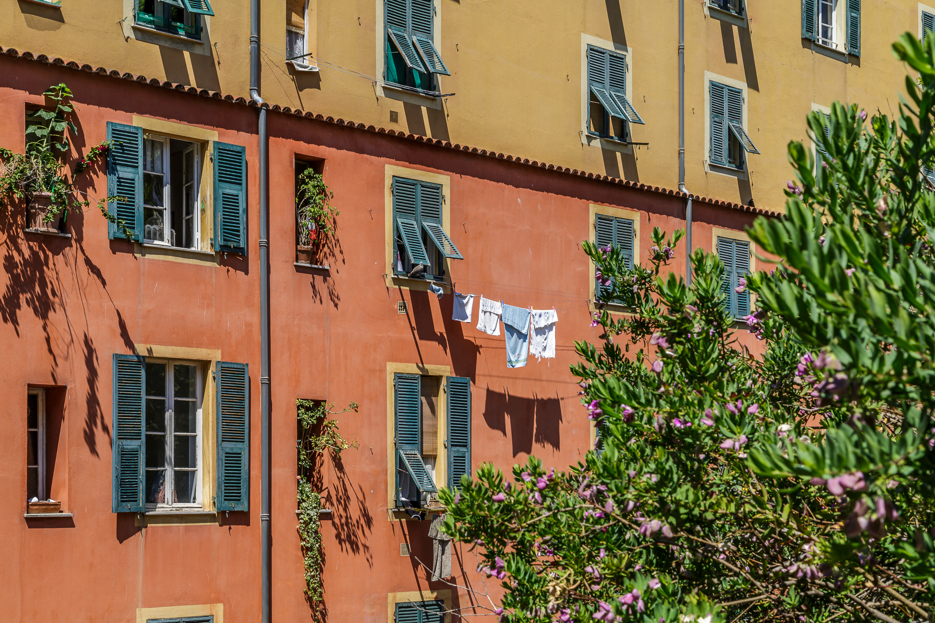 Vieux-Nice-9