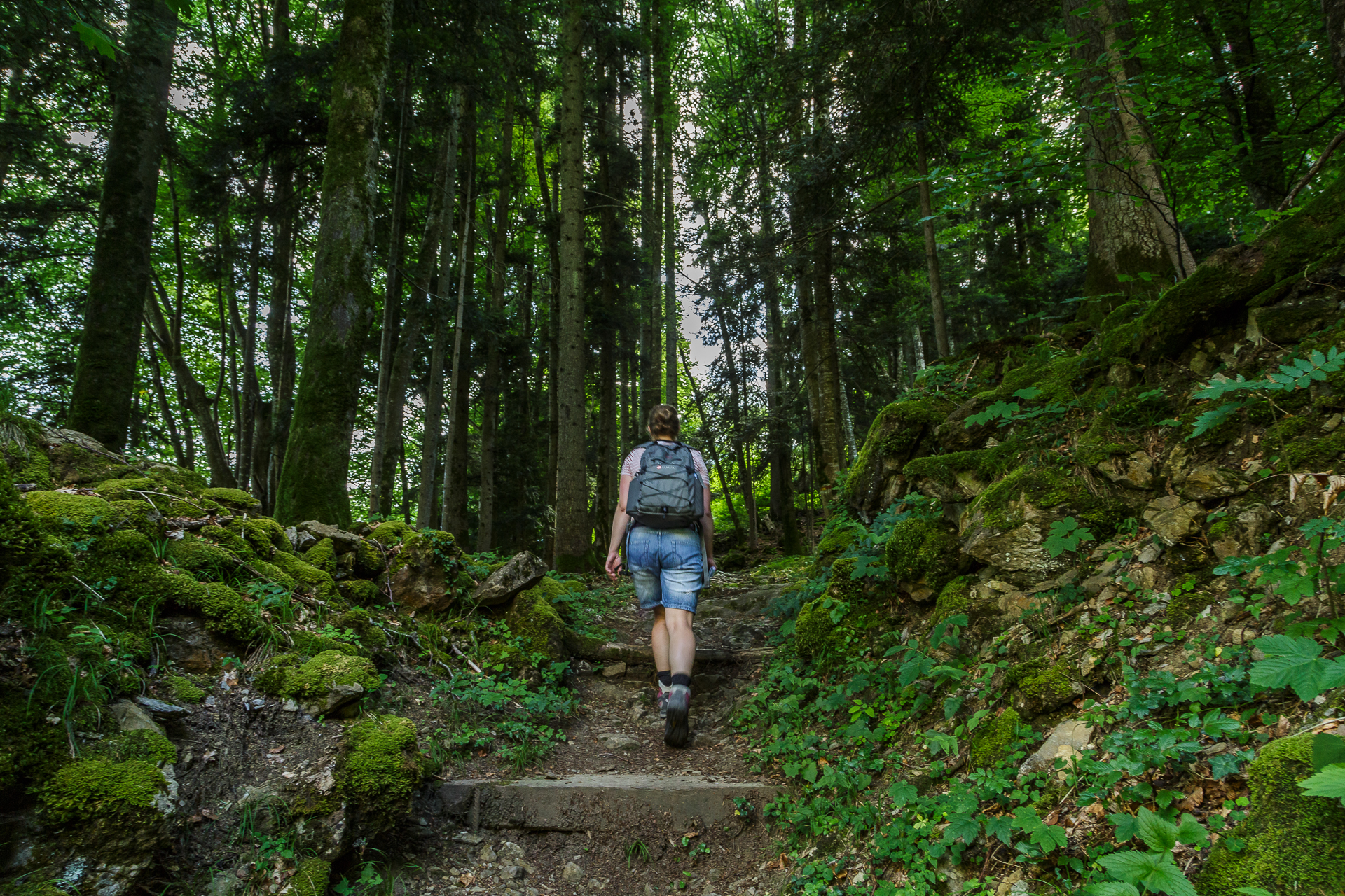 Bauen-Wandern