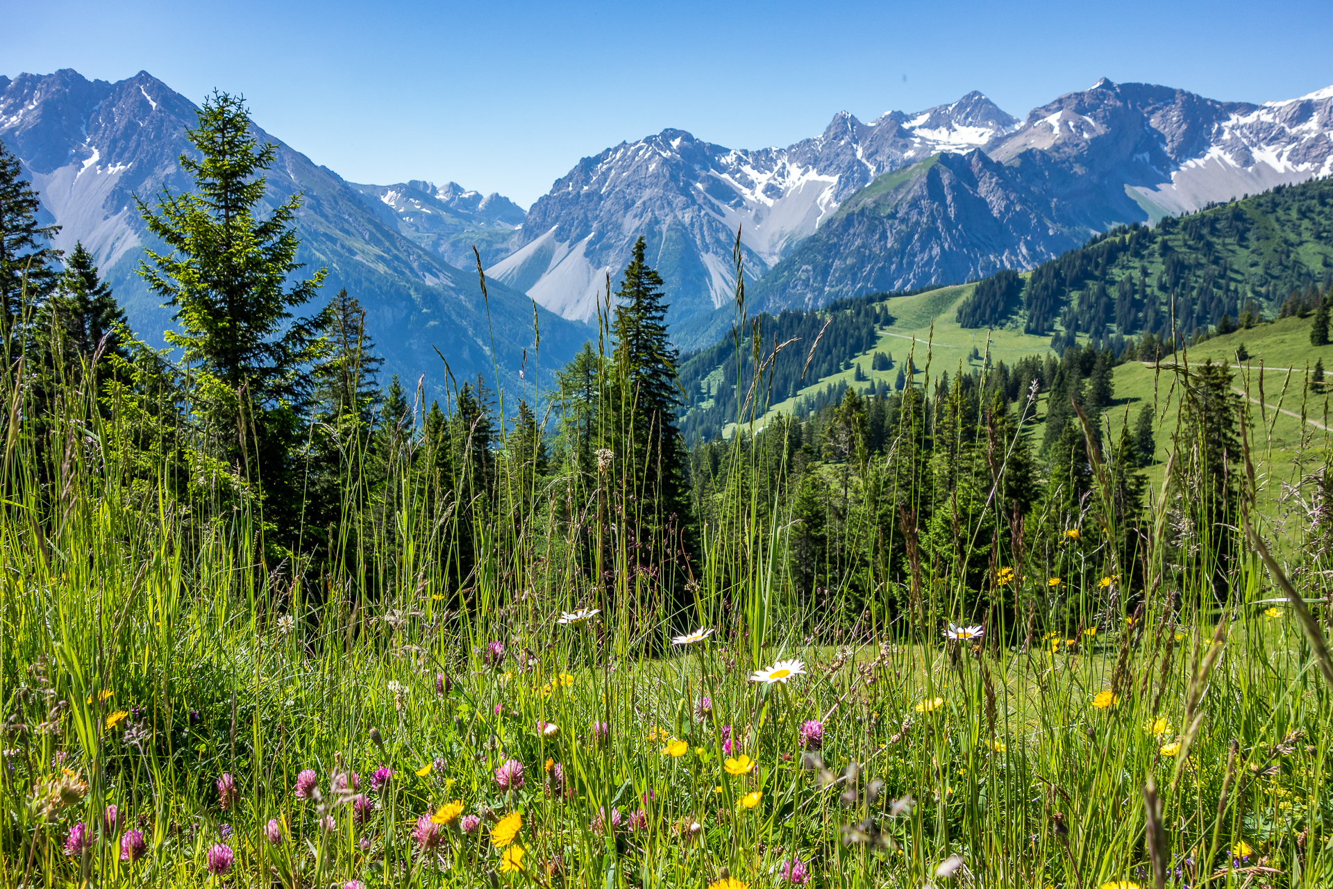 Brandnertal-Aussicht