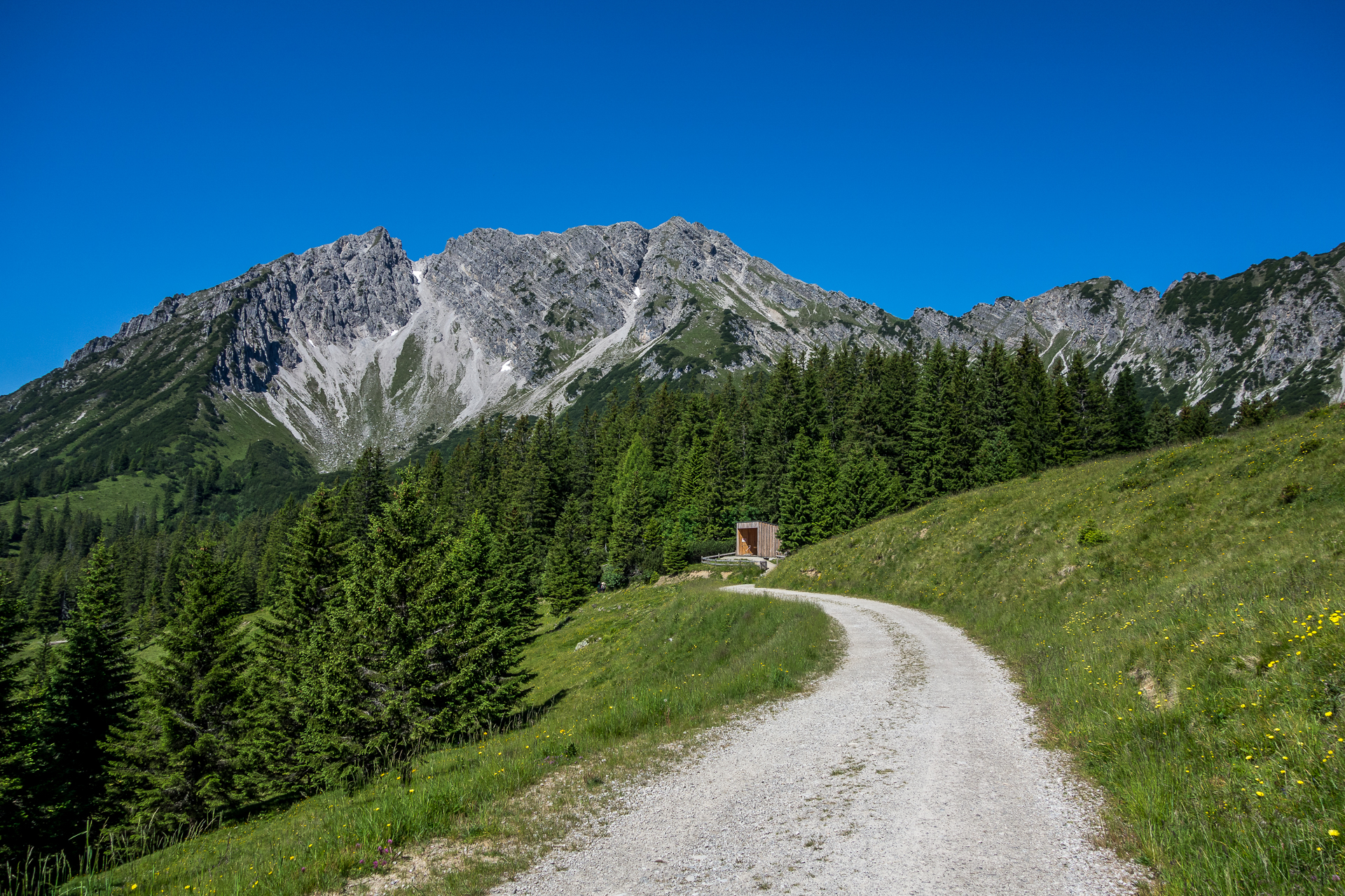 Brandnertal-Naturspruengeweg-2