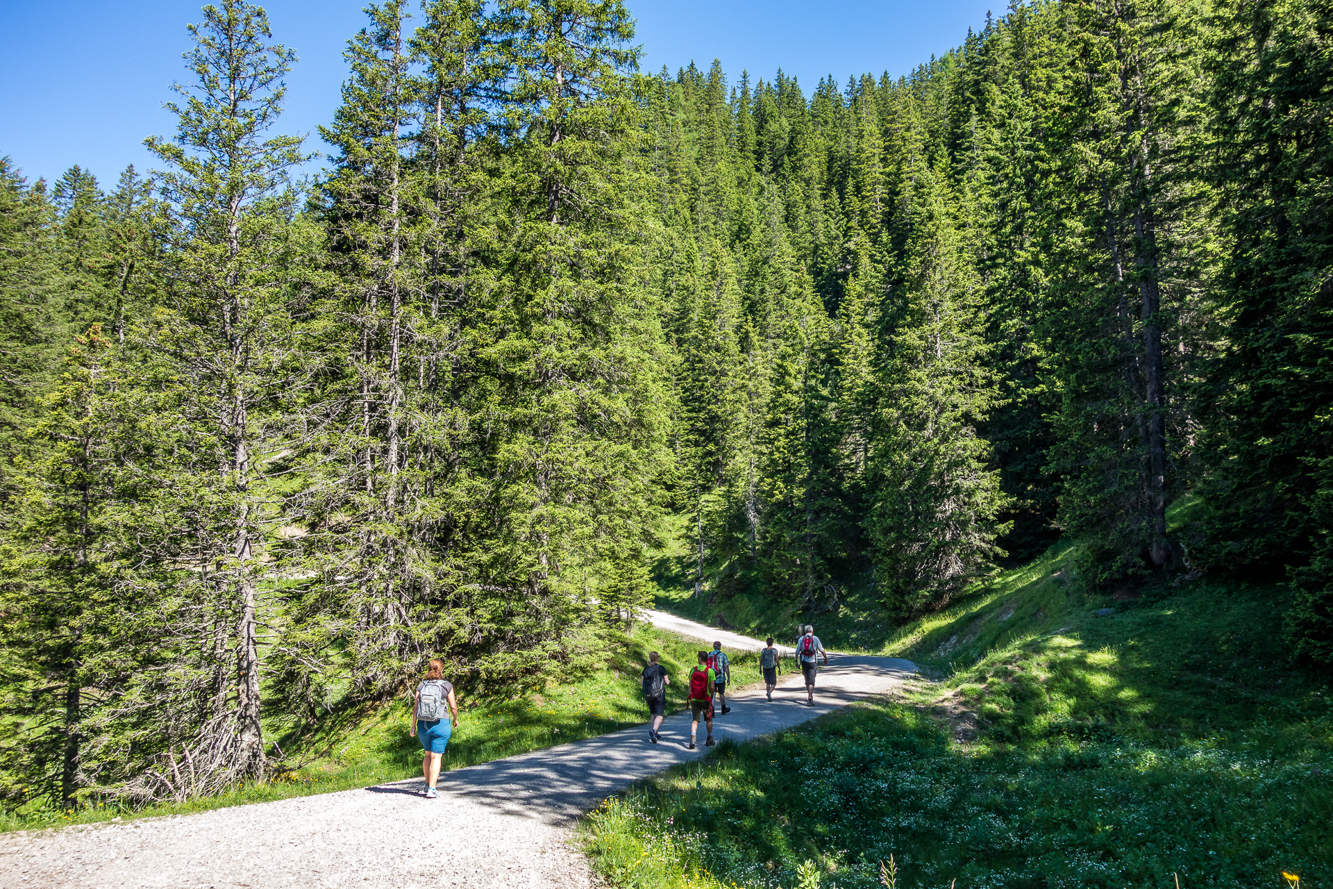 Brandnertal-Naturspruengeweg
