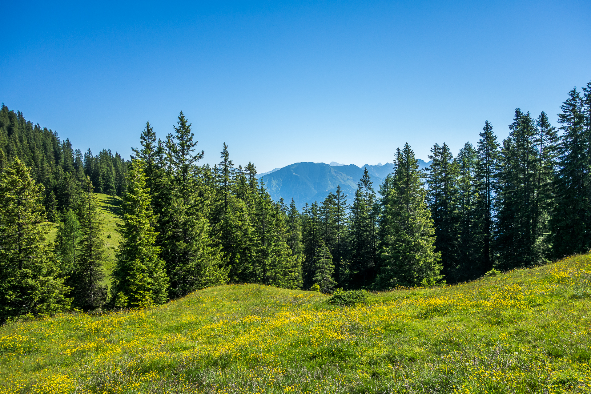 Brandnertal-Wandern