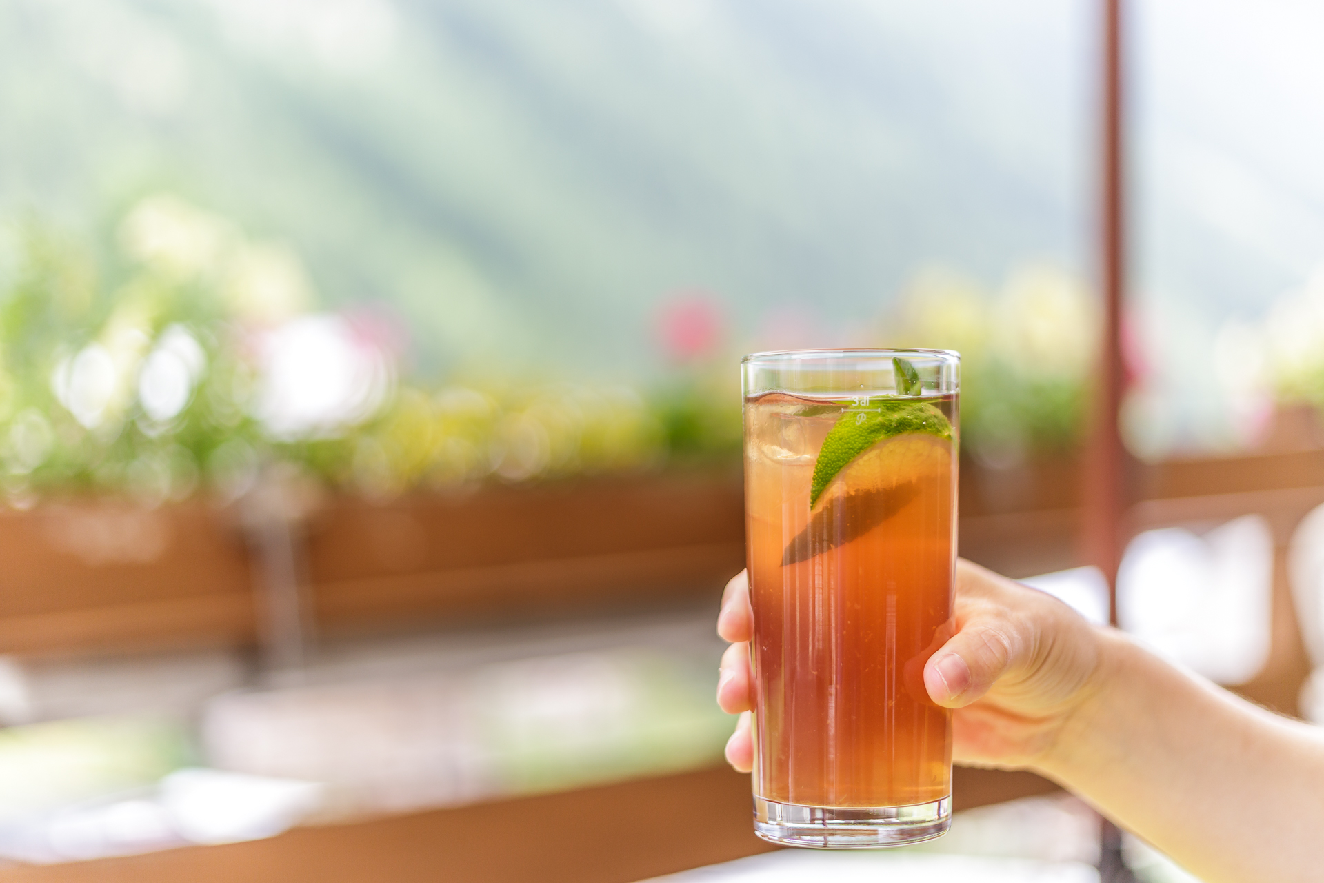 Hotel-Nest-Bietschhorn-Ried-Terrasse
