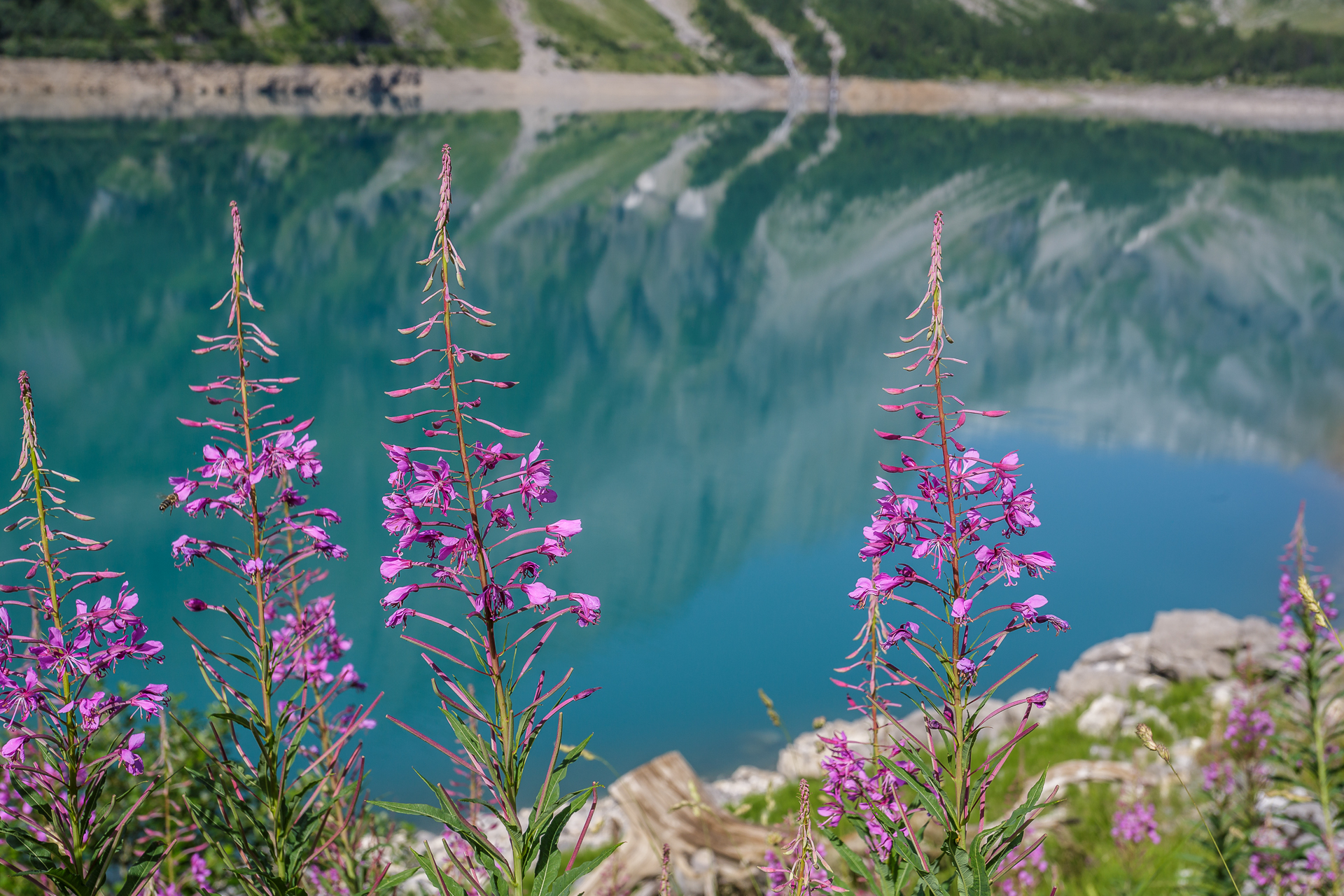 Lac-de-Tseuzier-3