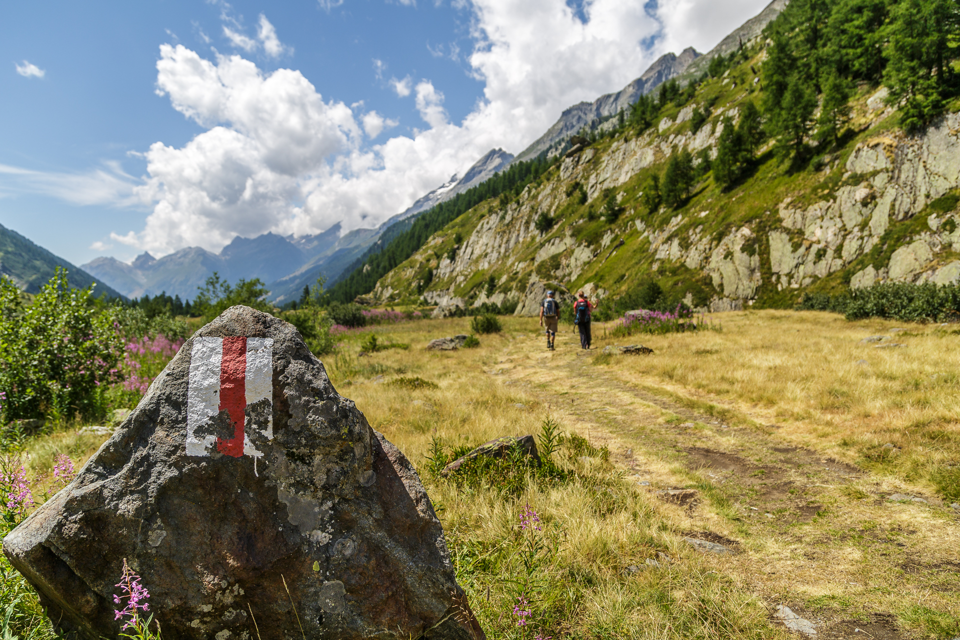 Loetschental-Fafleralp