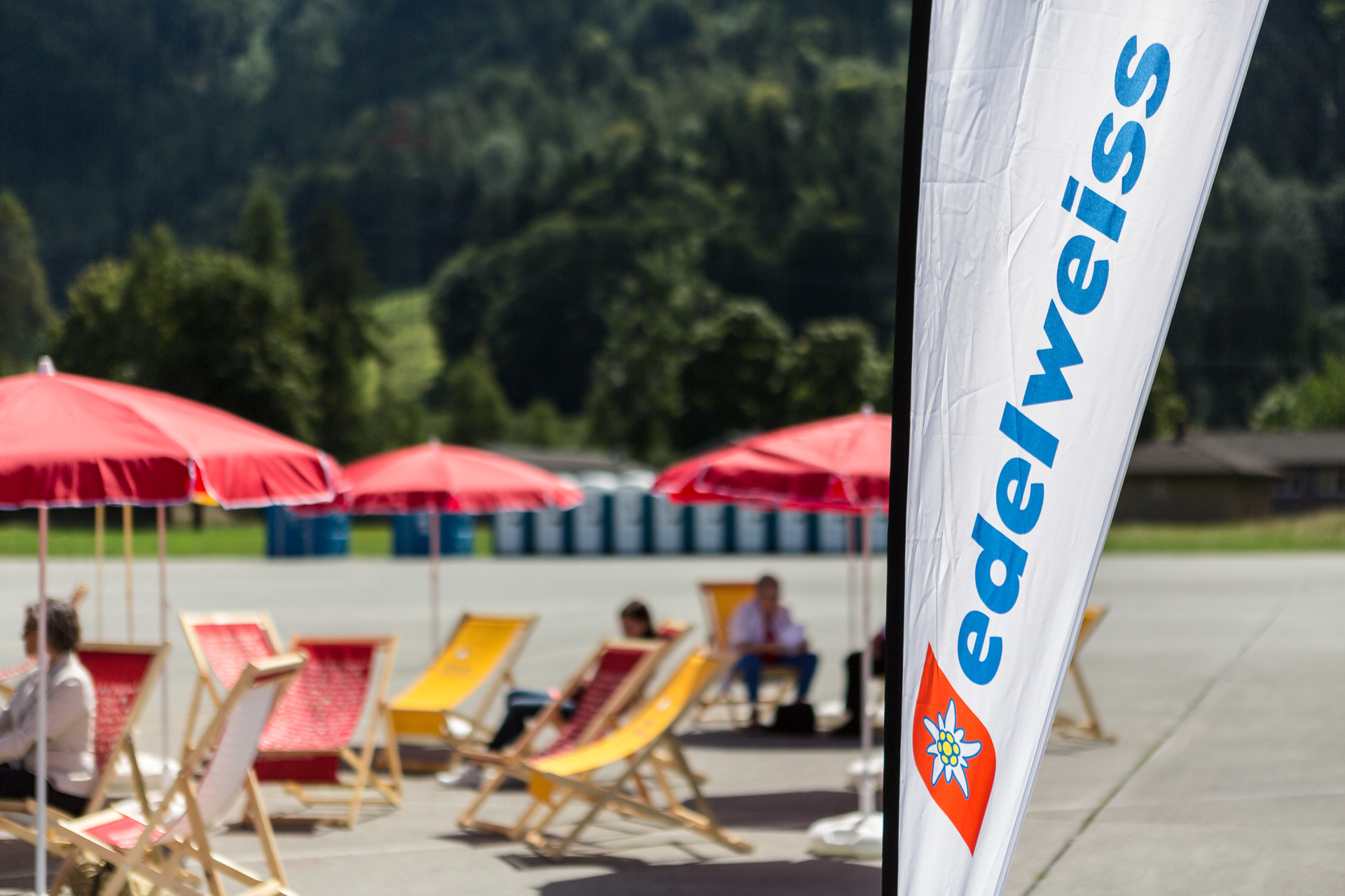 Mamo-Photography-Edelweiss-Interlaken