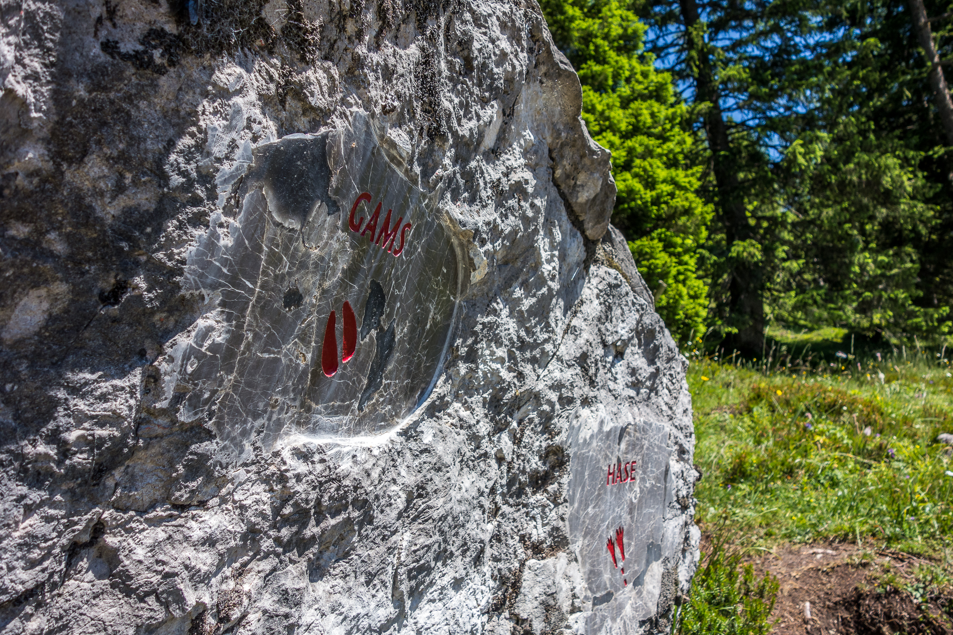 Naturspruengeweg-tierspuren