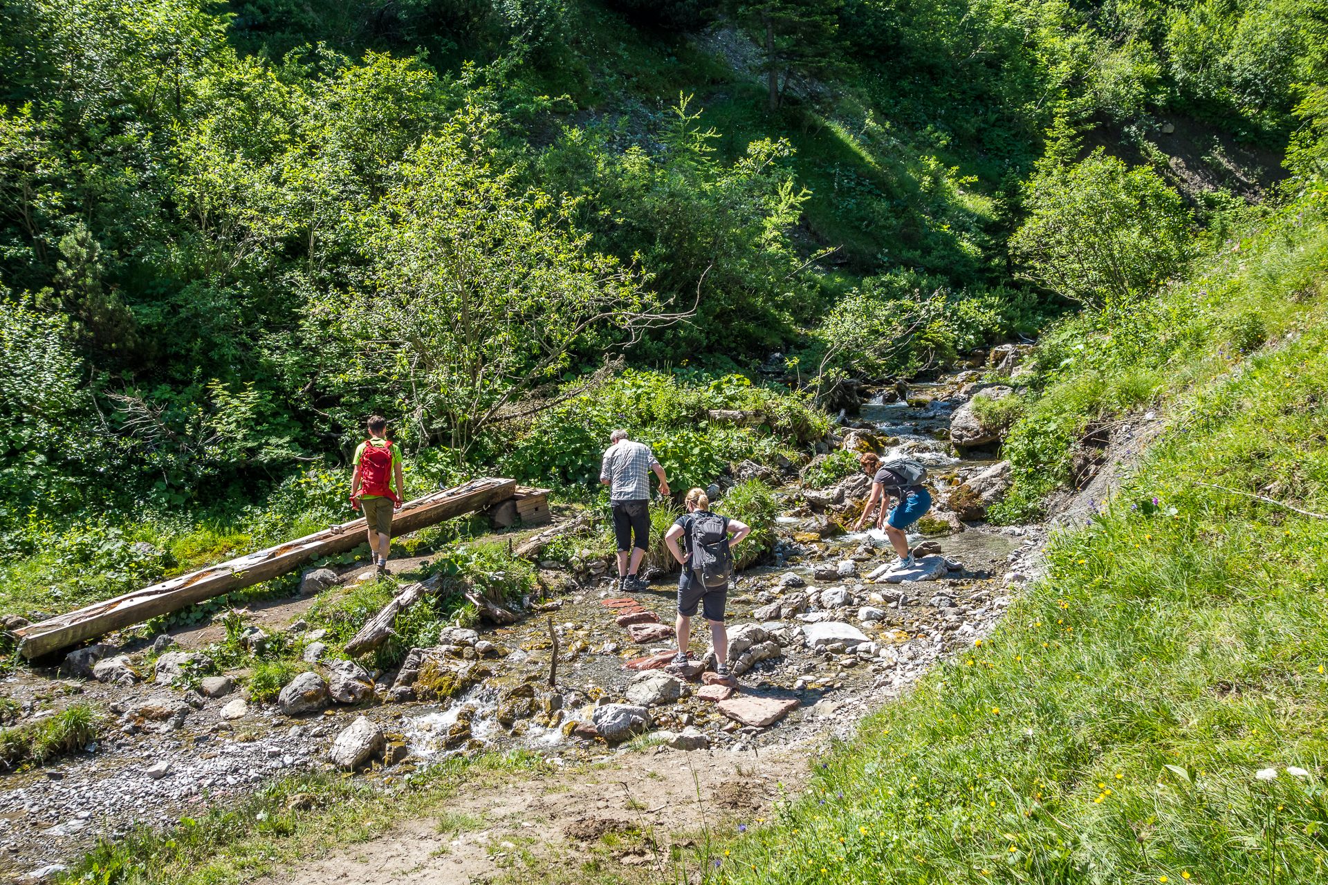 Naturspruengeweg-wasser